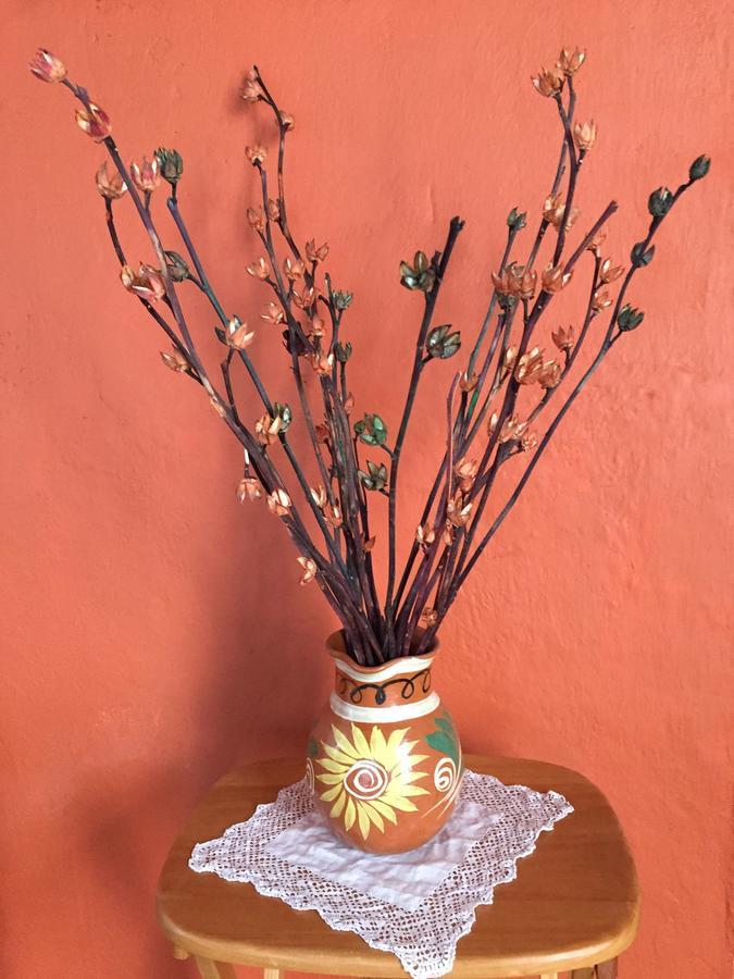 瓦曼特拉 Hacienda Santa Barbara Casa Malinche酒店 外观 照片